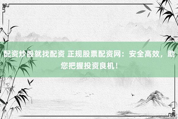 配资炒股就找配资 正规股票配资网：安全高效，助您把握投资良机！