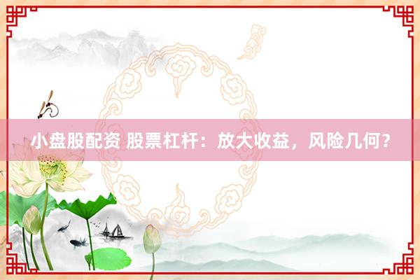小盘股配资 股票杠杆：放大收益，风险几何？
