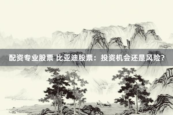 配资专业股票 比亚迪股票：投资机会还是风险？