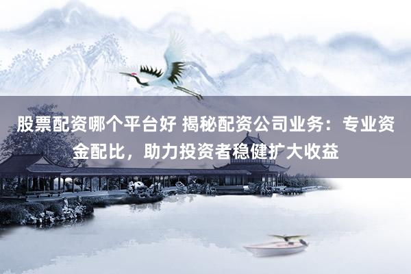 股票配资哪个平台好 揭秘配资公司业务：专业资金配比，助力投资者稳健扩大收益