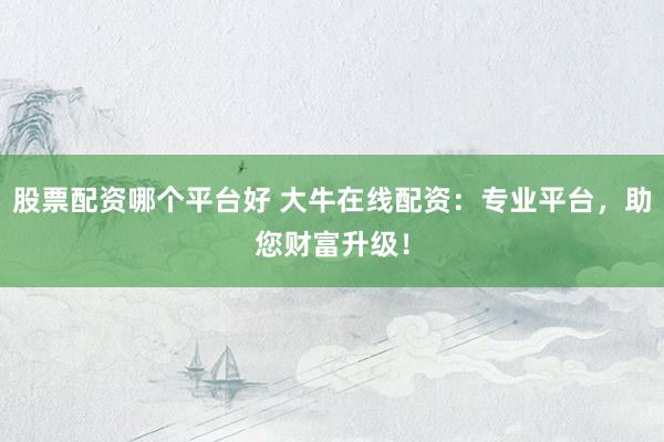股票配资哪个平台好 大牛在线配资：专业平台，助您财富升级！