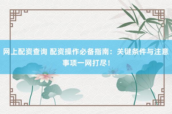网上配资查询 配资操作必备指南：关键条件与注意事项一网打尽！