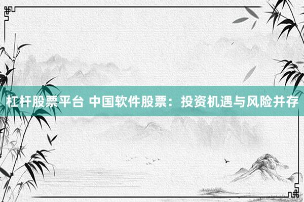 杠杆股票平台 中国软件股票：投资机遇与风险并存