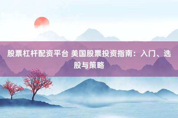 股票杠杆配资平台 美国股票投资指南：入门、选股与策略