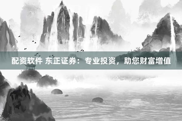 配资软件 东正证券：专业投资，助您财富增值
