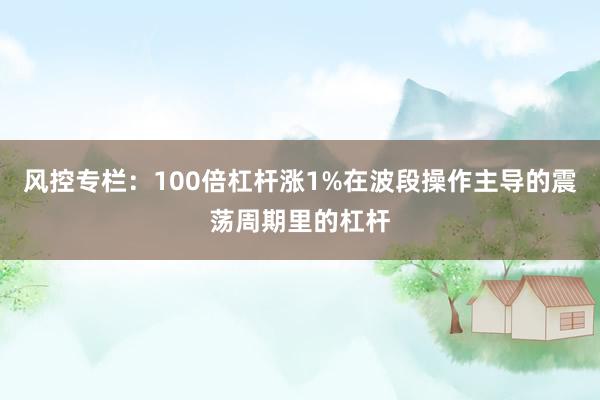 风控专栏:100倍杠杆涨1%在波段操作主导的震荡周期里的杠杆