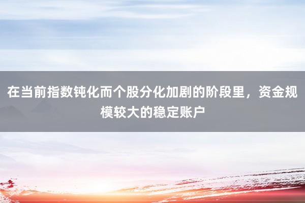 在当前指数钝化而个股分化加剧的阶段里，资金规模较大的稳定账户