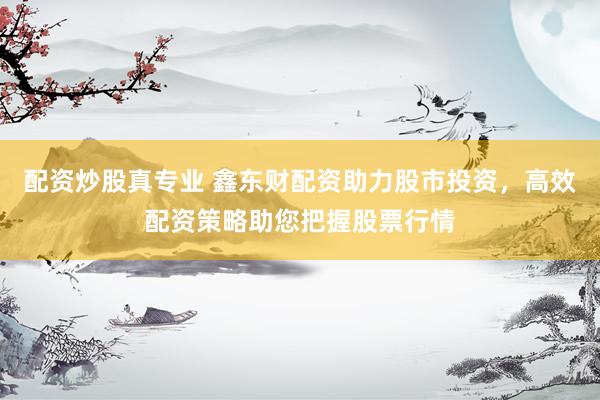 配资炒股真专业 鑫东财配资助力股市投资，高效配资策略助您把握股票行情